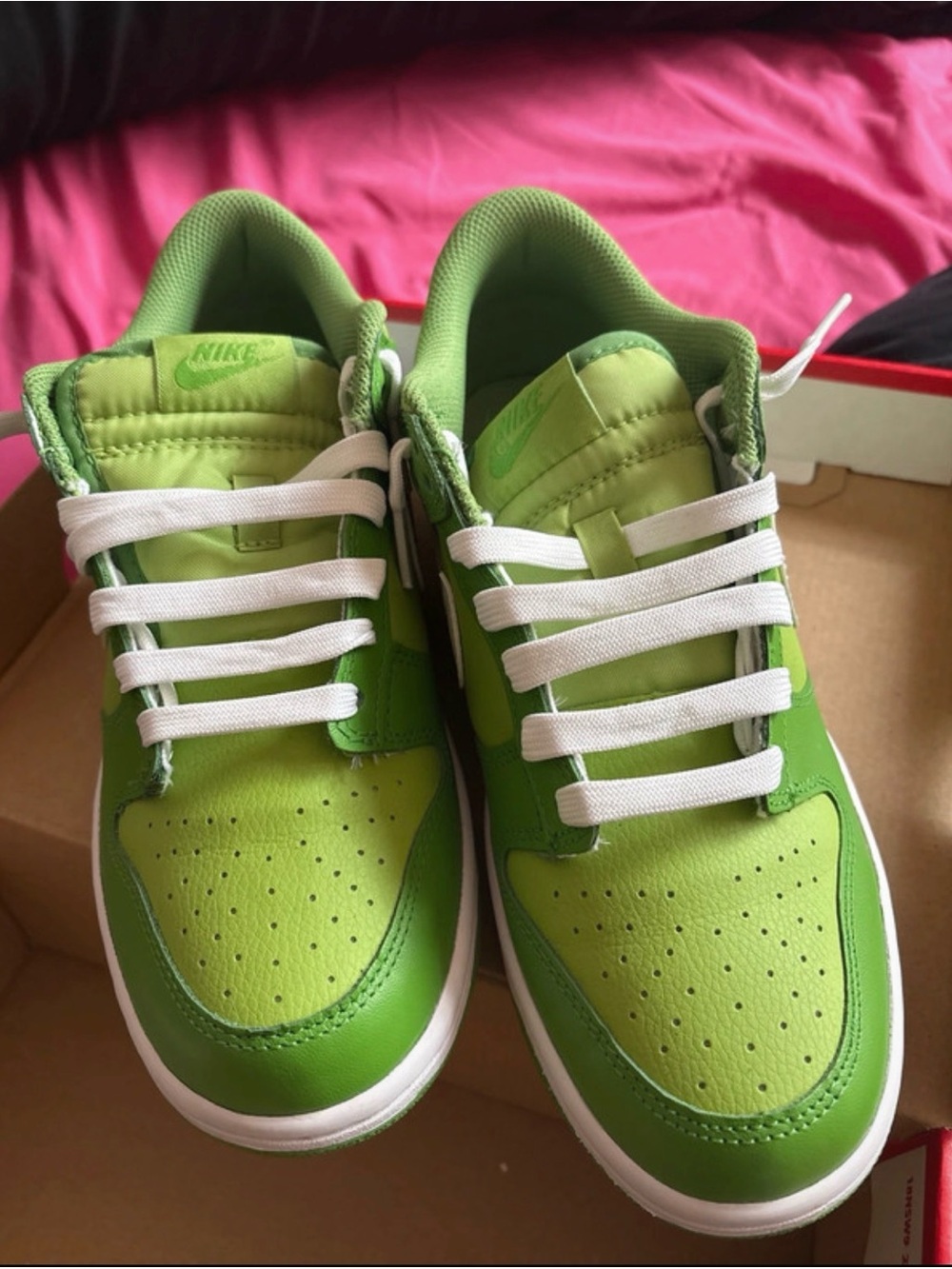 Nike dunks  Green Low-Top Sneakers